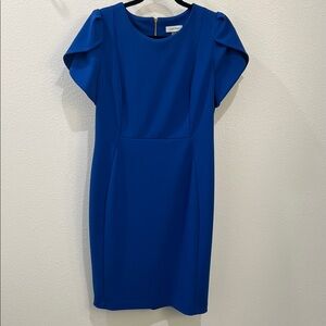 Calvin Klein Royal Blue Short Sleeve Sheath Dress